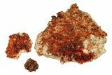 Clearance Lot: - Vanadinite on Bladed Barite - Pieces #288574-1